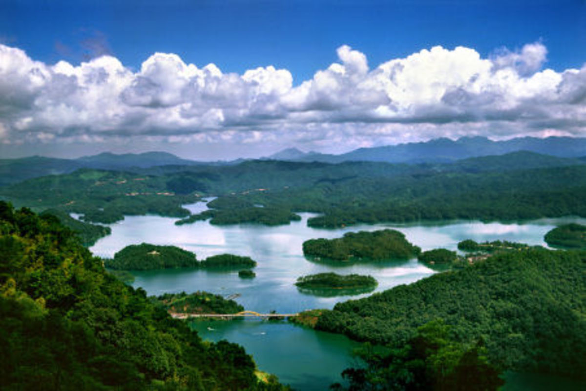 香港广州社团总会